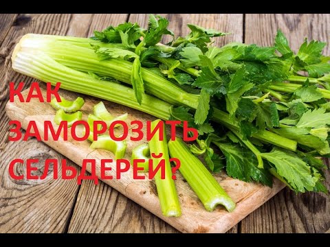 Как заморозить сельдерей?