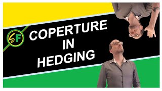 Le coperture (Hedging)   Guida al trading online completa  Vid. 24