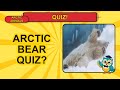 Arctic Animals Quiz for Kids! 🐻‍❄️ 13 Cool Questions &amp; #Shorts