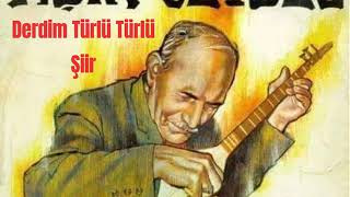 Aşık Veysel/Derdim Türlü Türlü (Kendi Sesinden Çok Değerli Bir Şiir) Abone Olmayı Unutmayın