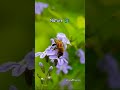 Beautiful Nature рџЏћпёЏрџЊ Nature Gracemaraasin Beautiful Nature рџЏћпёЏрџЊ Nature Gracemaraasin