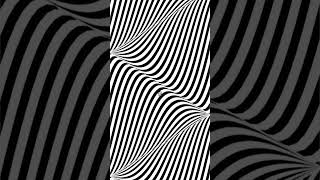 #techno #violin #rave #party #remix #illusion #memes #funny #hopticalillusion #animation#technolover