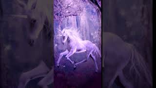 [Samsung Theme-Live Wallpaper]Fantasy Unicorn