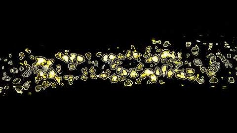 ld dodva ni new timli status black screen timli status 2023