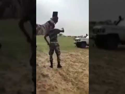 كيكل من كردفان ام سيالة