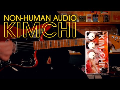 Non-Human Audio Kimchi Textural Fuzz Drive || Demo