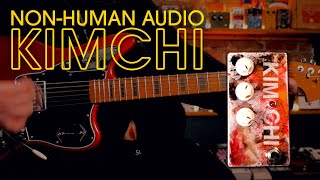 Non-Human Audio Kimchi Textural Fuzz Drive || Demo
https://www.nonhumanaudio.com/product/kimchi
**Huge thanks to Non-Human Audio for sending this pedal!
GEAR:
Guitars: Parts Jazzmaster (Curtis Novak Wide Range Humbuckers)
Fender Classic Player Jazzmaster (Pure Vintage 65 Pickups)
1980s Gibson Les Paul Standard
Parts Jaguar (Gibson 57 Classic)
Amp: Fender Tone Master Princeton Reverb
Bass: 1970s Hondo P-Bass
Listen to/download music from my demos: https://noisegeneratorfx.bandcamp.com/
Perfect Circuit Affiliate Link (any gear purchased through this link helps support the channel): https://bit.ly/3tIfDBj
Follow us on Instagram @noisegeneratorfx
For demo inquiries: noisegeneratorfx@gmail.com Non-Human Audio Kimchi Textural Fuzz Drive || Demo