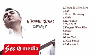 Hüseyin Güneş - Çalı Benim Resimi