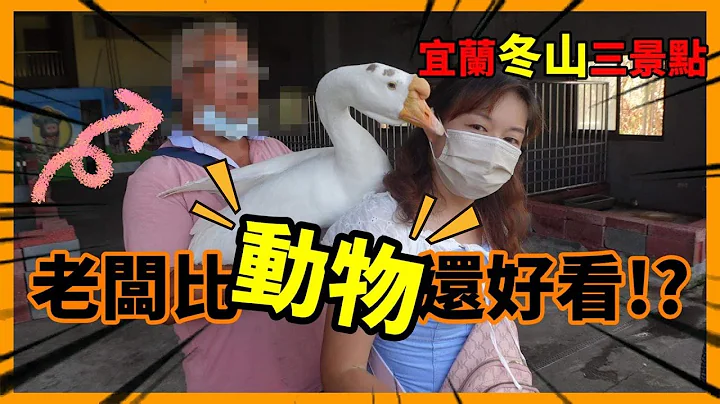 宜蘭冬山發現一個比斑比山丘更好逛的秘境農場！動物聽得懂人話？斑比山丘/心心農家樂/宜蘭冬山景點/宜蘭景點/宜蘭冬山/親子農場/親子休閒/親子活動/發燒影片【心爸&心媽】 - 天天要聞
