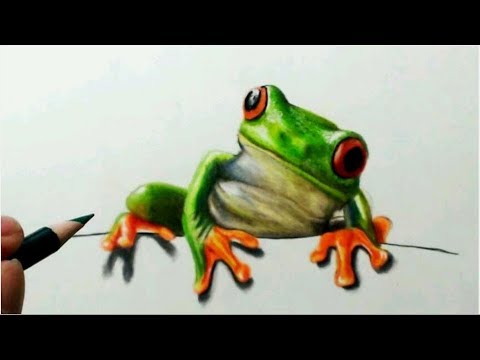 色鉛筆でカエルを描いてみた アカメアマガエル編 Draw A Realistic Frog Youtube