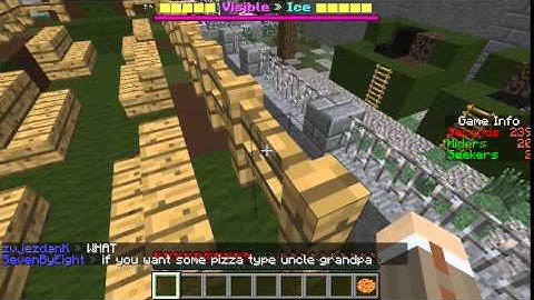 Minecraft Hide and Seek - Kill the Seeker