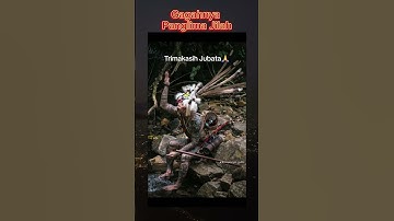 Gagahnya Panglima Jilah. #panglimajilah