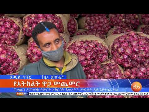 ቪዲዮ: የአትክልት ሳንካዎች (14 ፎቶዎች) - የትግል ዘዴዎች። ምን ይበላሉ? ጠቃሚ እና ጎጂን እንዴት መለየት? 