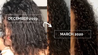 How I fixed my damaged hair |  MY CURLY HAIR JOURNEY 2022 (with pictures)
