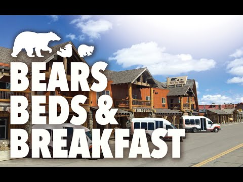 Bears, Beds & Breakfast! Three Bear Lodge in West Yellowstone