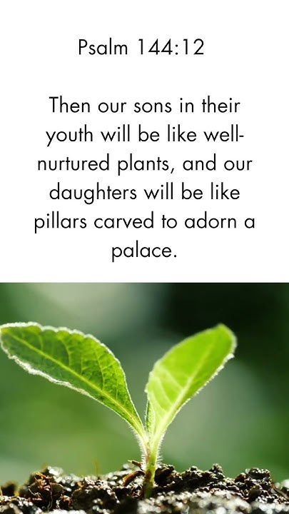what-does-this-mean-pillars-well-nurtured-plants-on-amaz0n-breaks