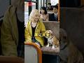 満員バスの犬騒動！