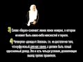 Ибн Усаймин - условия такфира правителя