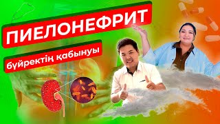 видео: Бүйректің қабынуы. Пиелонефрит және гломерулонефрит. Себептері және емі жайлы нефрологпен сұхбат картинка: Бүйректің қабынуы. Пиелонефрит және гломерулонефрит. Себептері және емі жайлы нефрологпен сұхбат