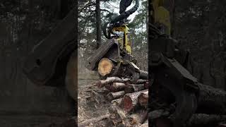 Insane Logging Machine Power!