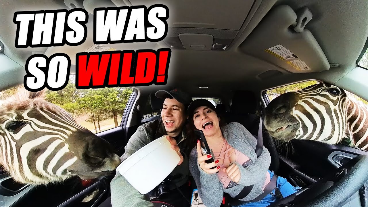 XAVE TRAVELS: Roadtripping Through Washington DC & Virginia Vlog!