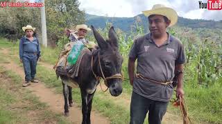 En familia fuimos el día de hoy a cortar leña en el campo.