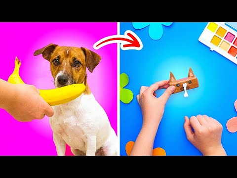 Kids Guess, and Play! 🐾🎲 Animals And More! 🎨