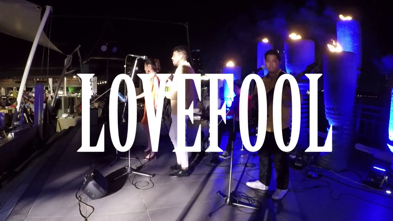 501 lovefool
