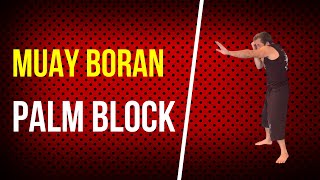 Muay Boran Palm Block Applications - Classic Muay Thai