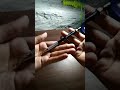 Metal Mechanical pencil unboxing + Sketching + ASMR ||