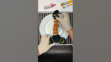 DIY bleach tie dye // Part 2 tomorrow👕🧡 #handmade #bleach #tiedye #creative #diy #shorts