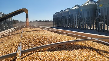 BULK LOADS!  Identity Preserved specalized Bulk Load distribution and material handling system.