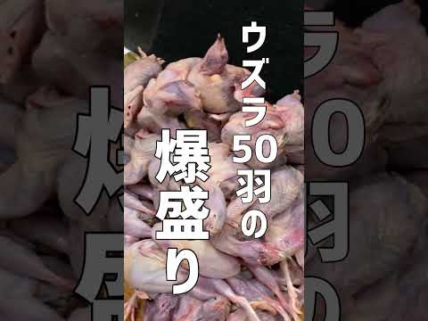 【大食い犬ASMR】1万人突破記念のご飯がヤバすぎるwww　【飯テロ/MUKBANG】#shorts