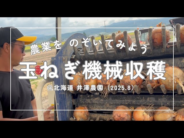 振動式掘り取り機 de スーイスイ ～楽々人参収穫～ - YouTube