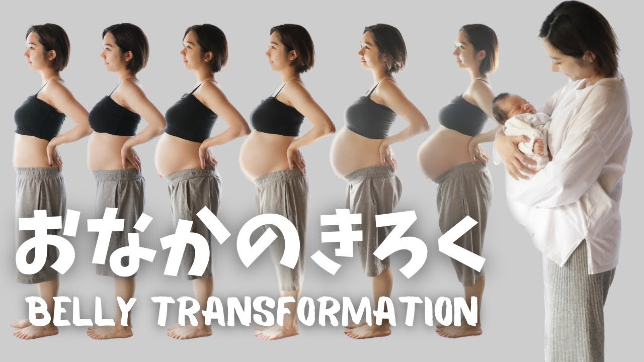 【妊婦】妊娠発覚から出産までのお腹の記録/Pregnancy Transformation/week by week