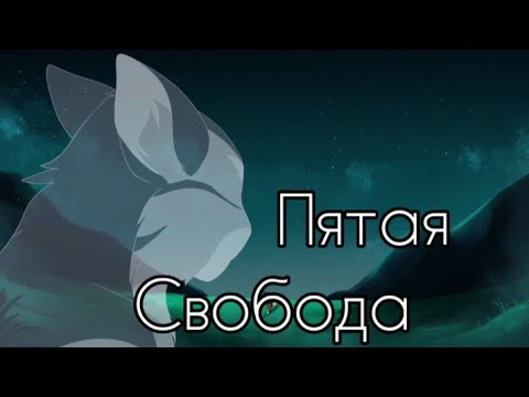 Коты воители клип[1К.под.]