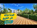 أجمل فيرما فيوتوب غادي تشوف أشجار و فيلا على الطريق 5دقايق على وسط لمدينه أجمل فيرما فيوتوب غادي تشوف أشجار و فيلا على الطريق 5دقايق على وسط لمدينه
