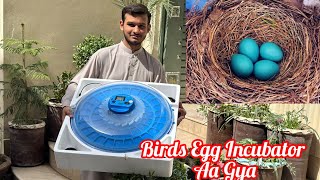 Birds Kay Egg Kay Liya Incubaror Aa Gaya/Argent Egg Shift Karna Hon Gay