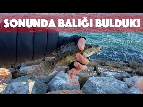 SONUNDA BALIK BAŞLIYOR! Extreme fluorocarbon testi! | İzmir LRF