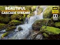 4K HDR Beautiful Springtime Cascading Waterfall Stream in the Mountains + Calming Sound For Sleeping