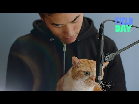 The World's Quietest Song | Andrew Huang Has A Field Day