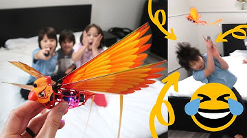 HILARIOUS Demo of Remote Control Go Go Bird | Best Toys 2021