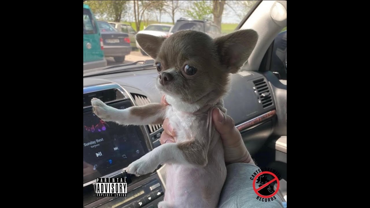 DODDY GATZ - DOPE BOY MAGIC ( VISUALIZER)