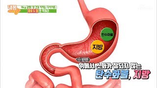 What is the Most Effective Way to Eat for a 'Two-Meal-a-Day Diet'! ◉0◉ [Manual for My Body] Ep. ...