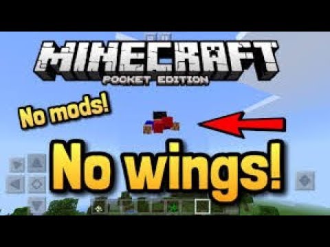 verpleegster Kalksteen Uitgaand How To Fly In Survival | Minecraft Bedrock Edition - YouTube