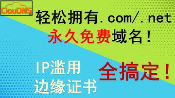 小白也能轻松拥有.com/.net后缀永久免费域名！ClouDNS王者归来！优化版教程，亲测避开IP滥用，搞定边缘证书，成功托管Cloudflare