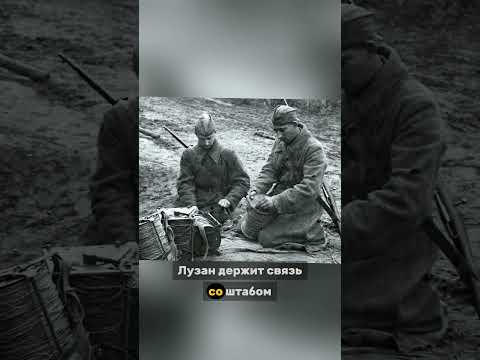168 ЧАСОВ ПОД ОБСТРЕЛОМ 😱 #НесломленныйСвязист #ВоеннаяИстория #ФронтоваяСвязь