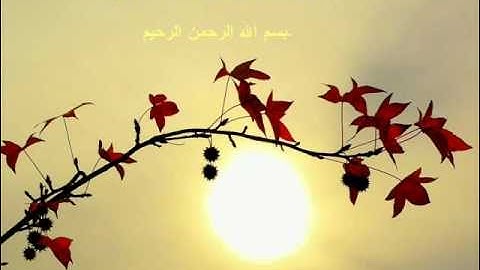 سورة يس للشيخ فاروق ماحي  FAROUK MAHI