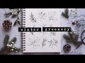 How to Draw Winter Greenery | Holly, Eucalyptus, Cedar, Mistletoe