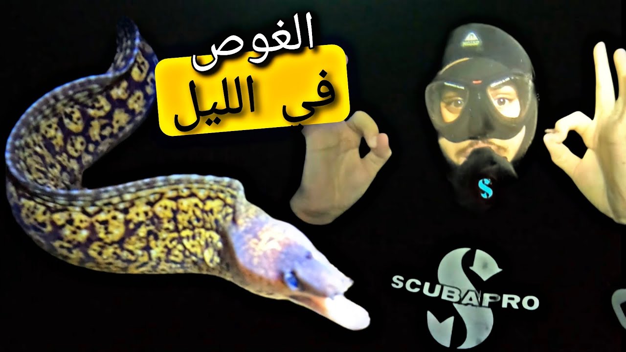 الغوص في الليل | plongée de nuit 